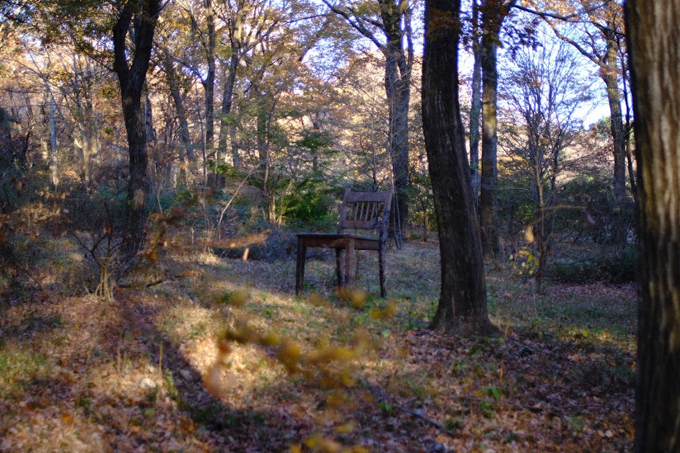 【レビュー】自然を満喫するなら赤城自然園へ | 赤城山をもっと!!