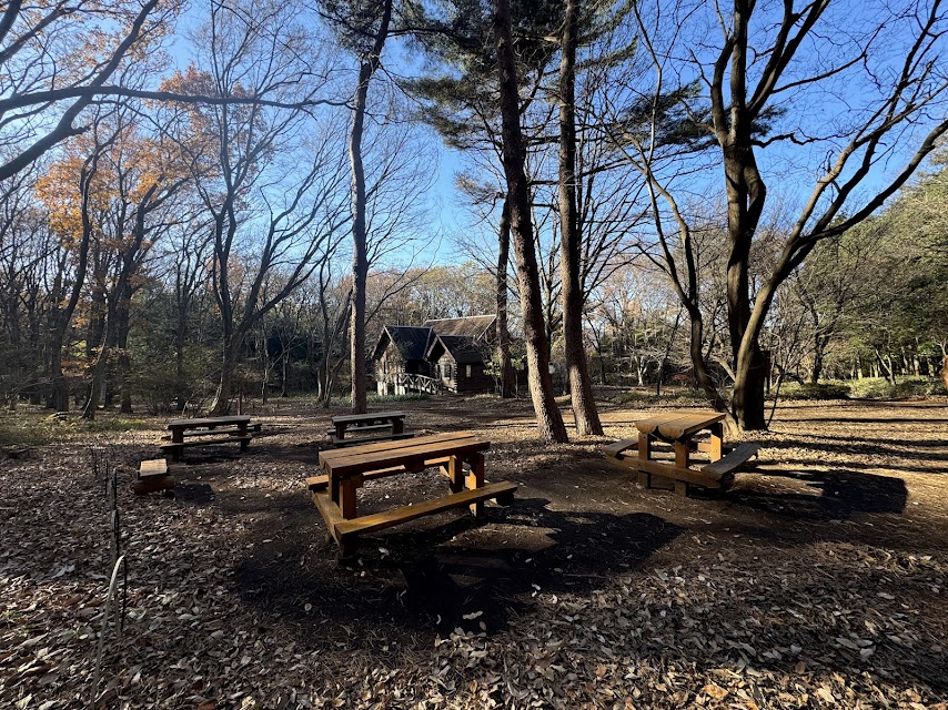 【レビュー】自然を満喫するなら赤城自然園へ | 赤城山をもっと!!
